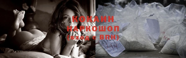 МДПВ Козловка
