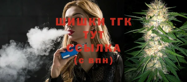 МДПВ Козловка