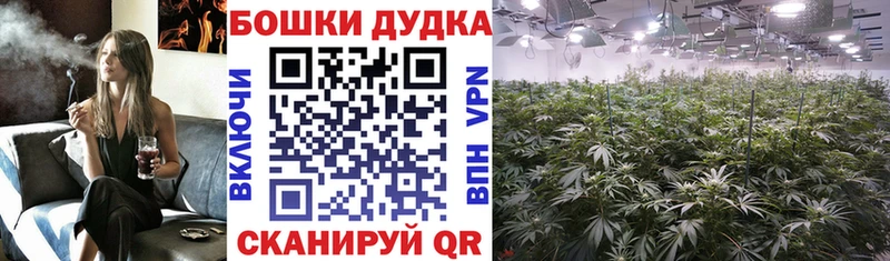 Шишки марихуана планчик  Купить где  Балашов 
